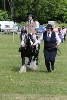 thornton-le-dale-gala showclass7acharity25-5-20018